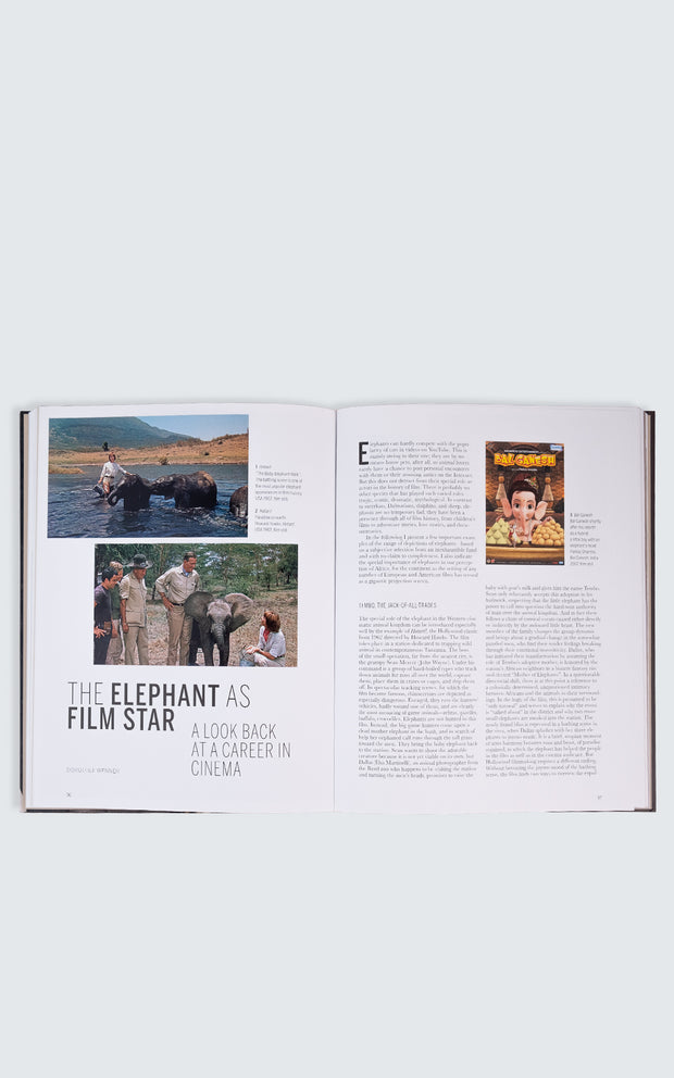 Buch - Terrible beauty. Elephant human ivory (EN)